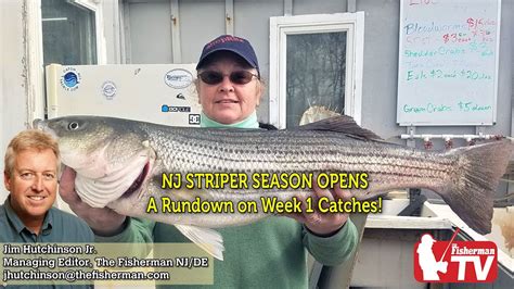 delaware bay fishing report